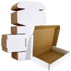 lot 25676 image: 11x8x2 inches Shipping Boxes Set of 25, White Corrugated Cardboard Box Literature Mailer - Retail $26
