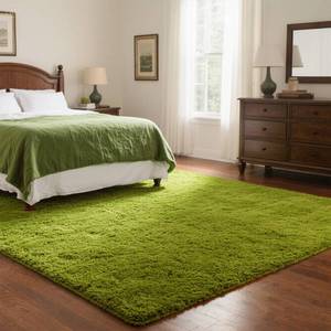 lot 25680 image: Green Rug for Bedroom, 5x7 Fluffy Area Rugs for Kids Playroom, Furry Carpet for Nursery Room, Shaggy Rug for Teen Living Room, Thick Fuzzy Plush Rug for Dorm, Cute Room Decor for Baby - Retail $50