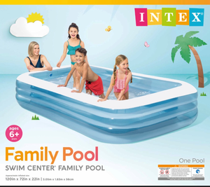lot 43111 image: Intex Swim Center Family Pool 120x72x22