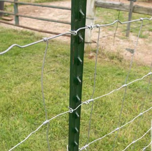 lot 168 image: Bundle of 2 1-34 in. x 3-12 in. x 8 ft. Green Steel Fence T-Post with Anchor Plate