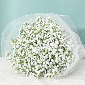 lot 7645 image: MARTINE MALL Babys Breath Artificial Flowers, 30 PCS White Baby Breath Flowers Artificial Bulk, Fake Baby Breath Gypsophila Real Touch Faux Babys Breath for Wedding Floral Arrangement Home Decor
