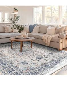 lot 7922 image: 8x10 Area Rug Washable Rugs