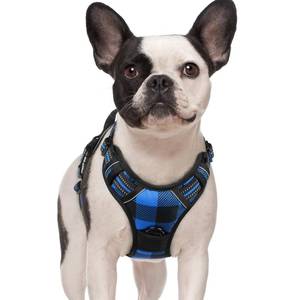 lot 35246 image: Dog Harness No-Pull, Comfortable Padded Plaid Harness with Handle Easy Control, Adjustable Reflective Pet Vest with 2 Leash Clips for Small Dog, Blue Plaid, S - Retail $25