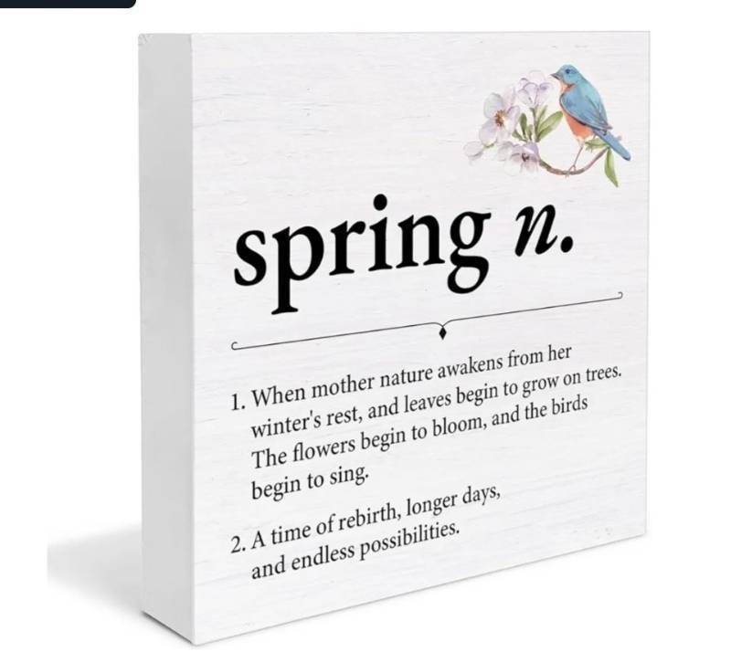 lot 40159 image: Spring Definition Wall Art Block - Retail $18
