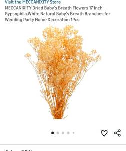 lot 40378 image: Natural Dried Babys Breath Flowers Bundle - Retail $8