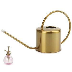 lot 49317 image: Remiawy Watering Can Indoor Outdoor Stainless Steel Watering Cans for House Plants Long Spout Water Can for Succulent Bonsai Garden Flower(40oz1300ml) - Retail $30