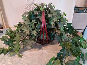 lot 27 image: Artificial Ivy Hanging Basket with Red Handle 16 inch tall