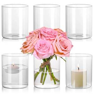 lot 44572 image: Glass Cylinder Vase Set of 6 for Centerpieces, 5 Inch Short Clear Flower Vases Bulk, Glass Hurricane Candle Holder for Table, Floating Candle Vases for Wedding Home D�cor - Retail $24