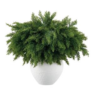 lot 11311 image: Aurdox 16 Pcs Real Touch Norfolk Pine Branch �� 18 Artificial Christmas Green Plants Branches, Faux Greenery Pine Stems Fake Cedar Picks for Vase DIY Crafts, Christmas Picks Indoor Home Decor