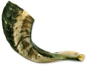 lot 12218 image: Nana Gifts Authentic Ram Horn Shofar from Israel, Clear Sound, Half Polished, 14-16