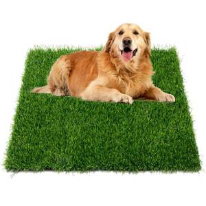 lot 12406 image: Grass Pad for Dogs Potty, 33x20.8 Inch Dog Grass Pad, Reusable Pee Fake Grass Mat for Pets Potty Training, Washable Pee Pads for Dog Indoor Outdoor Use