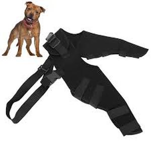 lot 2317 image: Black dog brace for legs