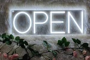 lot 4448 image: LED Open Sign White Neon Style