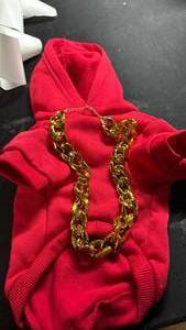 lot 14354 image: Red dog Sweatshirt with Gold Chain Detail