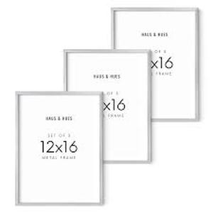 lot 13545 image: 12X16 silver picture frames (3)