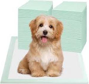 lot 15458 image: Red Rabbits Pet Training Pads Bulk Pack