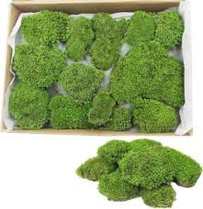 lot 15474 image: Natural Preserved Pole Moss - 1.5 sq.ft Green Pack
