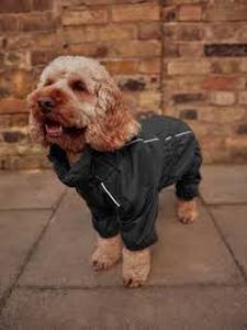 lot 18205 image: Dog RainCoat XL