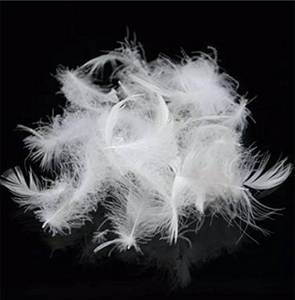 lot 4091 image: ROSE FEATHER Bulk Goose Down Feather Stuffing & Fill �� Hypoallergenic Pillow Filling, Repair, Restuff, Fluff for Couch Cushions, Comforters, Jackets595-1Lb DIY