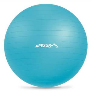 lot 19231 image: APEXUP Yoga Ball Exercise Ball Anti Slip Heavy Duty for Fitness, Balance & Core Workout (L (2326) 65cm, Light Blue)