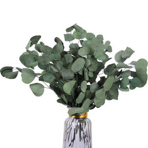 lot 20080 image: HIAGROW Real Eucalyptus Stems 20PCS Dried Preserved Fresh Eucalyptus Silver Dollar Leaves for Shower - Greenery Branches for Wedding Home Party Vase Filler Spring Decor