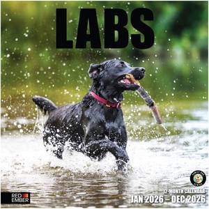 lot 20098 image: RED EMBER Labs 2026 Wall Calendar 12 Month  12 x 24 Open  Thick & Sturdy Paper  Holiday Gift  Cute Labrador Retriever Puppy Dog Calendar 2026
