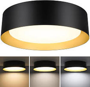 lot 3062 image: 13-inch  LED ceiling light
