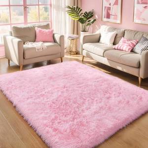 lot 3910 image: Pink Fluffy 4x6 Area Rugs for Bedroom Girls, Soft Washable Fuzzy Furry Shag Rug for Kids Room, Nursery, Dorm Decor, Cute Plush Carpet for Baby Toddler - Retail $17