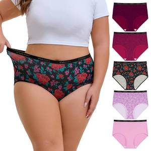 lot 51139 image: INNERSY Plus Size XL-5XL Big Curvy Woman Cotton Underwear High Waist Briefs 5-Pack(Velvetrose,3X-Large) - Retail $26