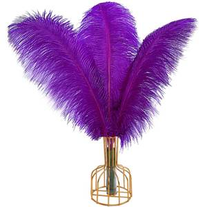 lot 51201 image: THARAHT Purple Ostrich Feathers 12pcs Large Natural Bulk 12-14Inch 30cm-35cm for Wedding Party Centerpieces Halloween and Decoration Feather - Retail $14