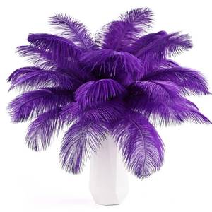 lot 51213 image: THARAHT Purple Ostrich Feathers 12pcs Natural Bulk 10-12Inch 25cm-30cm for Crafts Wedding Party Centerpieces Halloween and Decoration Feather - Retail $10