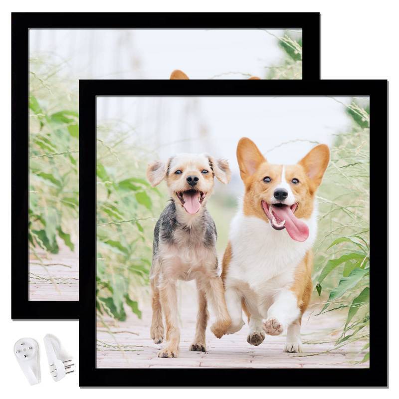 lot 2052 image: icariery 16x16 Picture Frame Set of 2, Black Square Photo Frames High Transparent Wall Gallery Desktop Horizontal Vertical for Canvas Collage Photo Poster Certificate 16 x 16 inches
