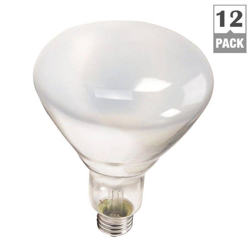 lot 35813 image: Philips 387795 Soft White 65-Watt BR40 Indoor Flood Light Bulb, 11-Pack