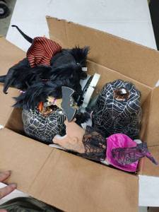 lot 13917 image: Lot of Miscellaneous Halloween Items - Retail $0
