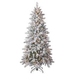 lot 13929 image: Ashland Christmas 4 Ft Pre-Lit Cypress Flicked Tree - Retail $0