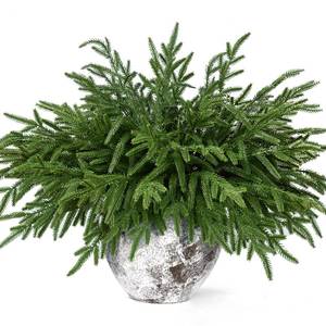 lot 15513 image: Waipfaru Christmas 12 Pcs Norfolk Pine Stems, 18 Inch Real Touch Artificial Norfolk Pine Branches, Christmas Greenery for DIY Cedar Garland, Indoor & Outdoor Xmas Holiday Home Decor - Retail $18