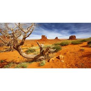 lot 15570 image: AWERT 48x24 inches Reptile Habitat Background Orange Desert Terrarium Background Durable Polyester Background - Retail $9