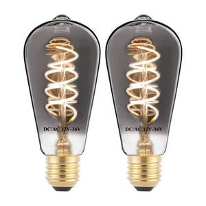 lot 15686 image: ONLY ONE PIECE HUWDKAR 12V Edison Bulb Low Voltage Warm White 2700K E26 Base, DCAC 12V 24V 36V LED Light Bulbs 40W Equivalent Smoky Grey Glass for RV Camper, 1 Pack - Retail $16