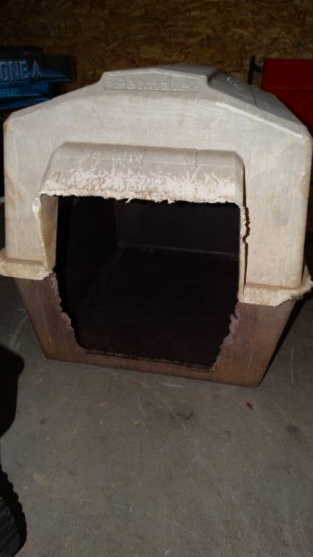 lot 20318 image: Large dog house