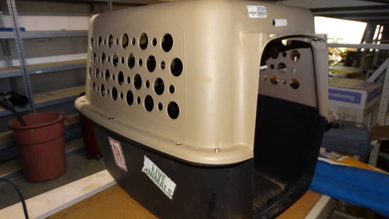lot 20334 image: Kennel
