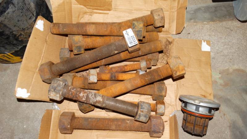 lot 20343 image: Lot of 11 inch bolts and 4 12 inch bolts