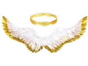lot 55142 image: Gold Angel Wings Halloween Feather Wings Leaf Head Crown Wreath for Women Wedding Cosplay Costume Party Kit(Cute Style) - Retail $38