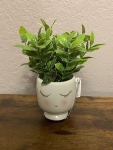 7.5 inches Faux Tea Leaf in beauty face pot