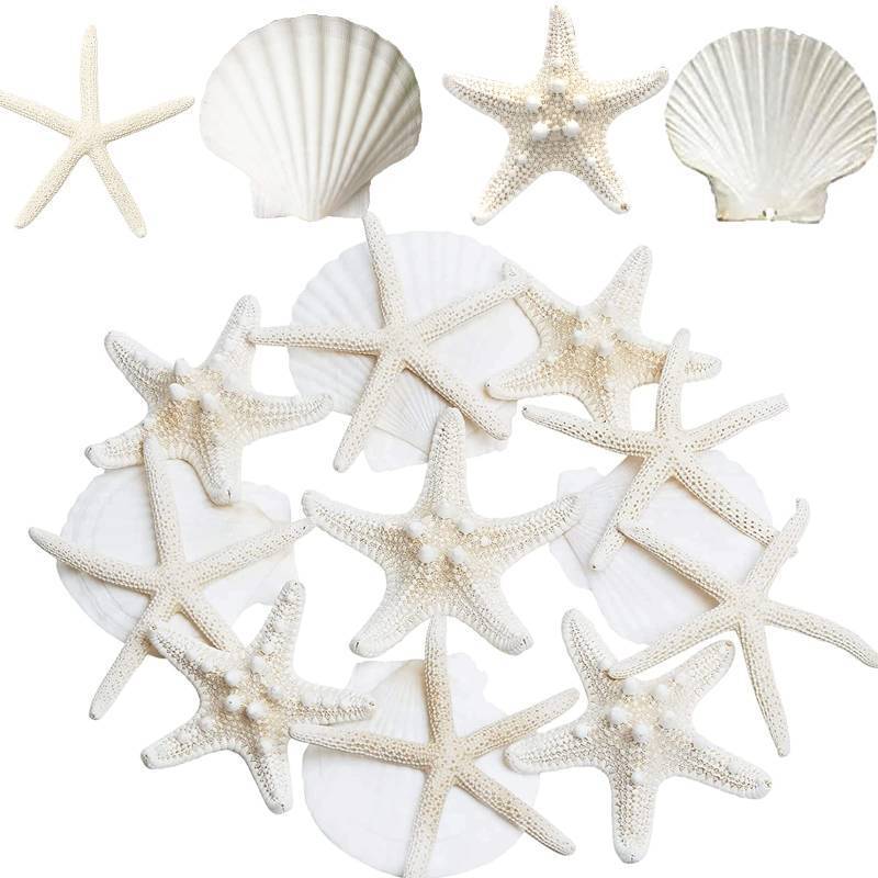 lot 15349 image: 3-4 Inches Large Starfish and Scallop Shells for Crafts 12PCS, Natural Beach Sea Shells for Crafting, Baking Shells Perfect for White Christmas Decor Beach Party Wedding Fish Tank DIY Crafts