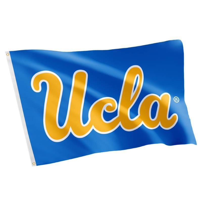 lot 15360 image: Desert Cactus UCLA Bruins Flag - 3 x 5 Feet University of California Los Angeles Banner, IndoorOutdoor Durable Fabric, 100% Polyester Design (Style 1) - Retail $25