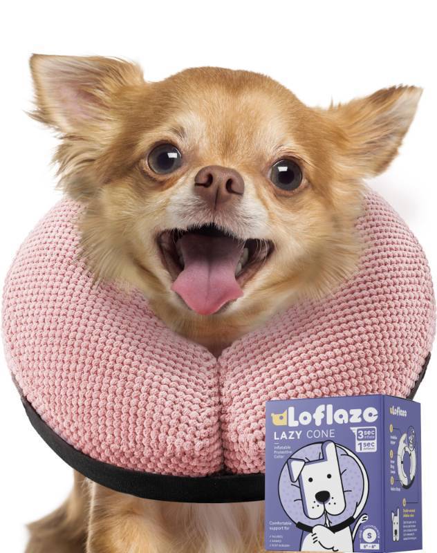 lot 15434 image: Soft Inflatable Dog Cone for Large Medium Small Dogs Cats - Neck Donut, E Collar Alternatives for Recovery - Retail $10