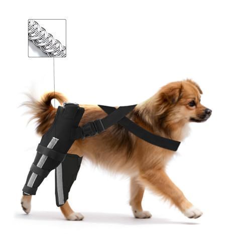 lot 71545 image: Double Dog Knee Brace for Torn Acl Hind Leg, Double Dog Leg Braces for Back Leg for Support, ACL Brace for Dogs, Built-In Hard Metal Spring Support, Night Reflective Strip, Adjustable Strap(Extra Small) - Retail $49