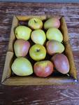 Wooden Apple Crate with Fresh Picked Plastic Apples and Pears