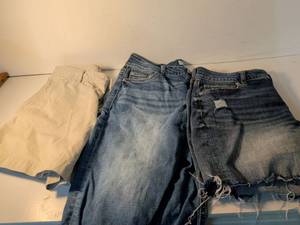 lot 85 image: Maurices Distressed Denim Shorts