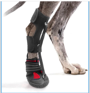 lot 658580 image: Dog Foot Brace - Retail $69